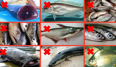 9 Kinds of Fish You Shouldnt Eat